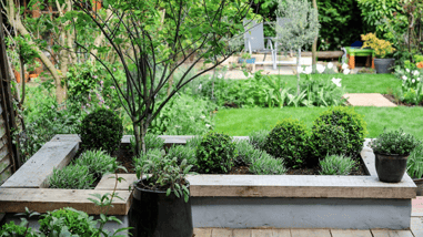 raised planter bed